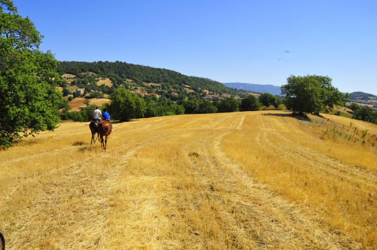 Гостевой дом Country House Poggio Aione Catabbio Экстерьер фото