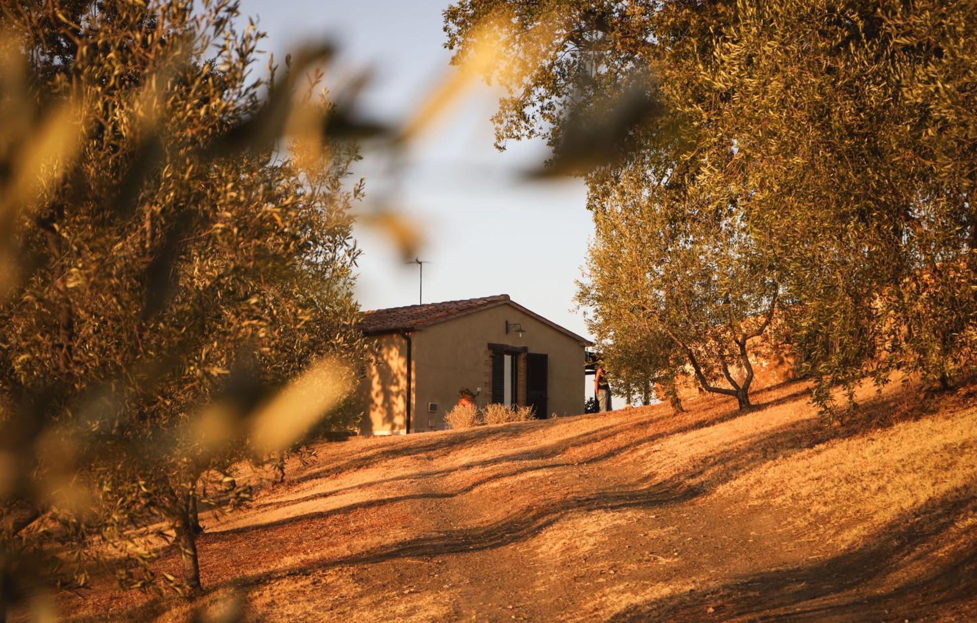 Гостевой дом Country House Poggio Aione Catabbio Экстерьер фото