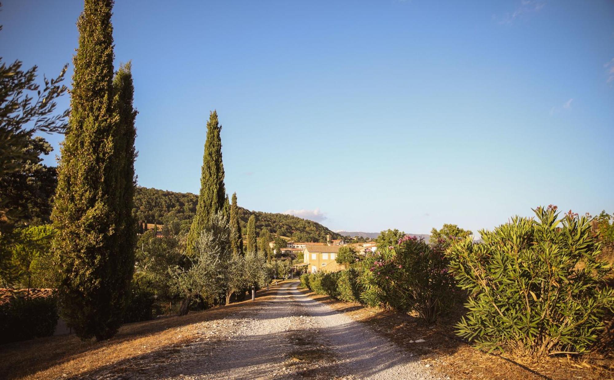 Гостевой дом Country House Poggio Aione Catabbio Экстерьер фото
